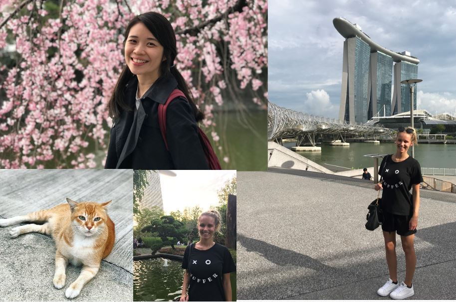 Happiness in Singapore is&nbsp;food